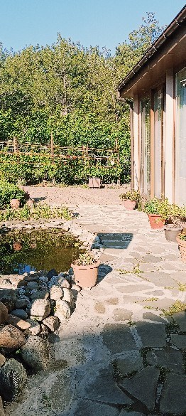 Дом в Кедровой роще - photo 3
