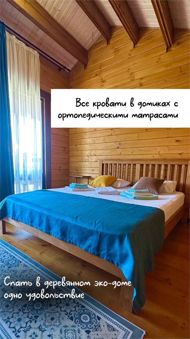 Кактус, Тарханкут - photo 2