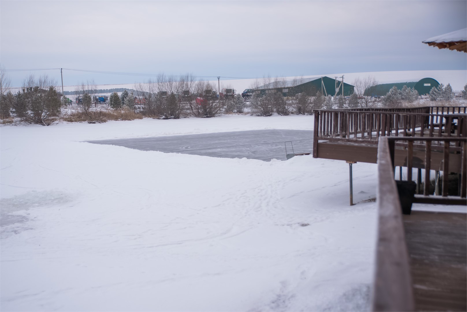 Калина красная - photo 2