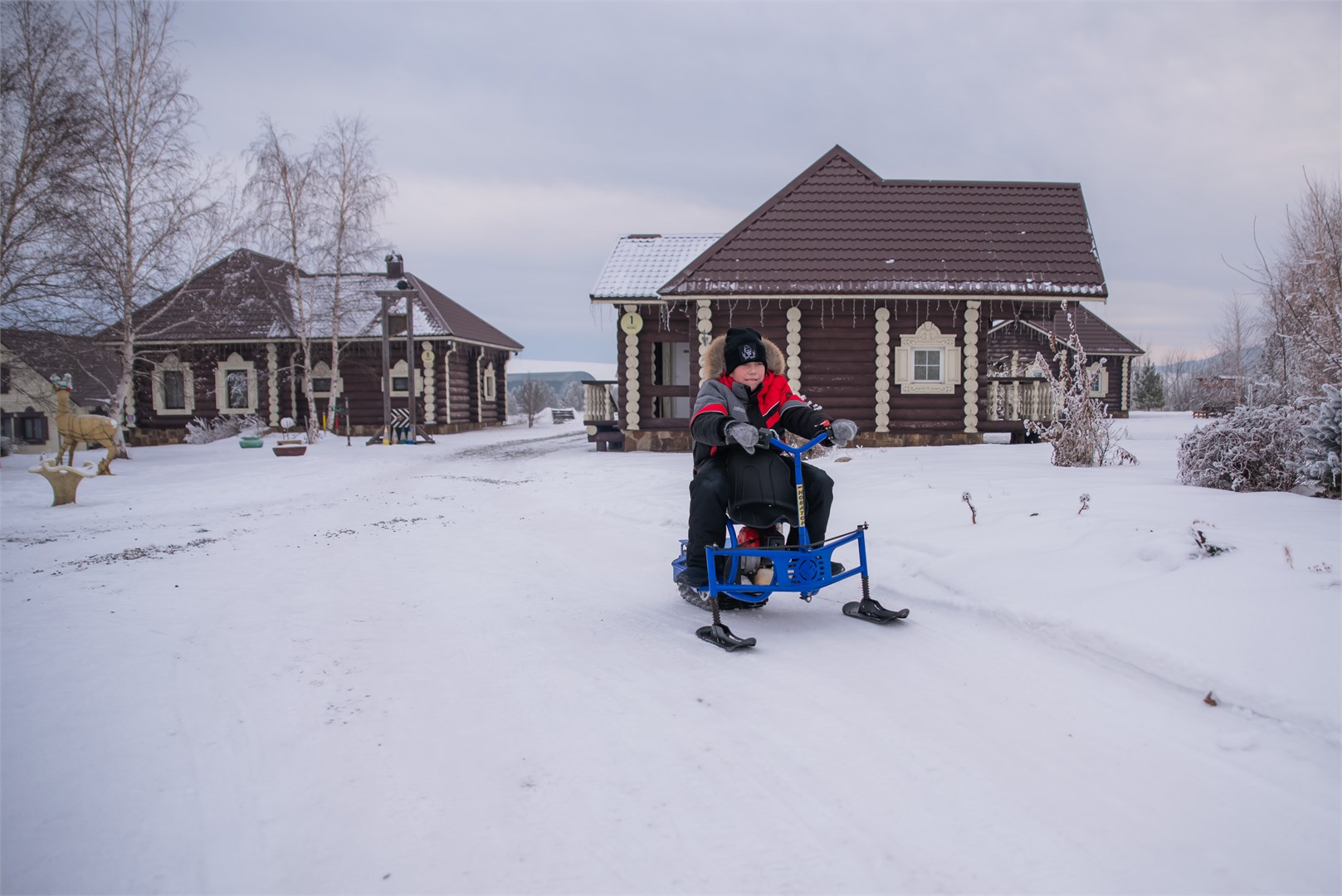 Калина красная