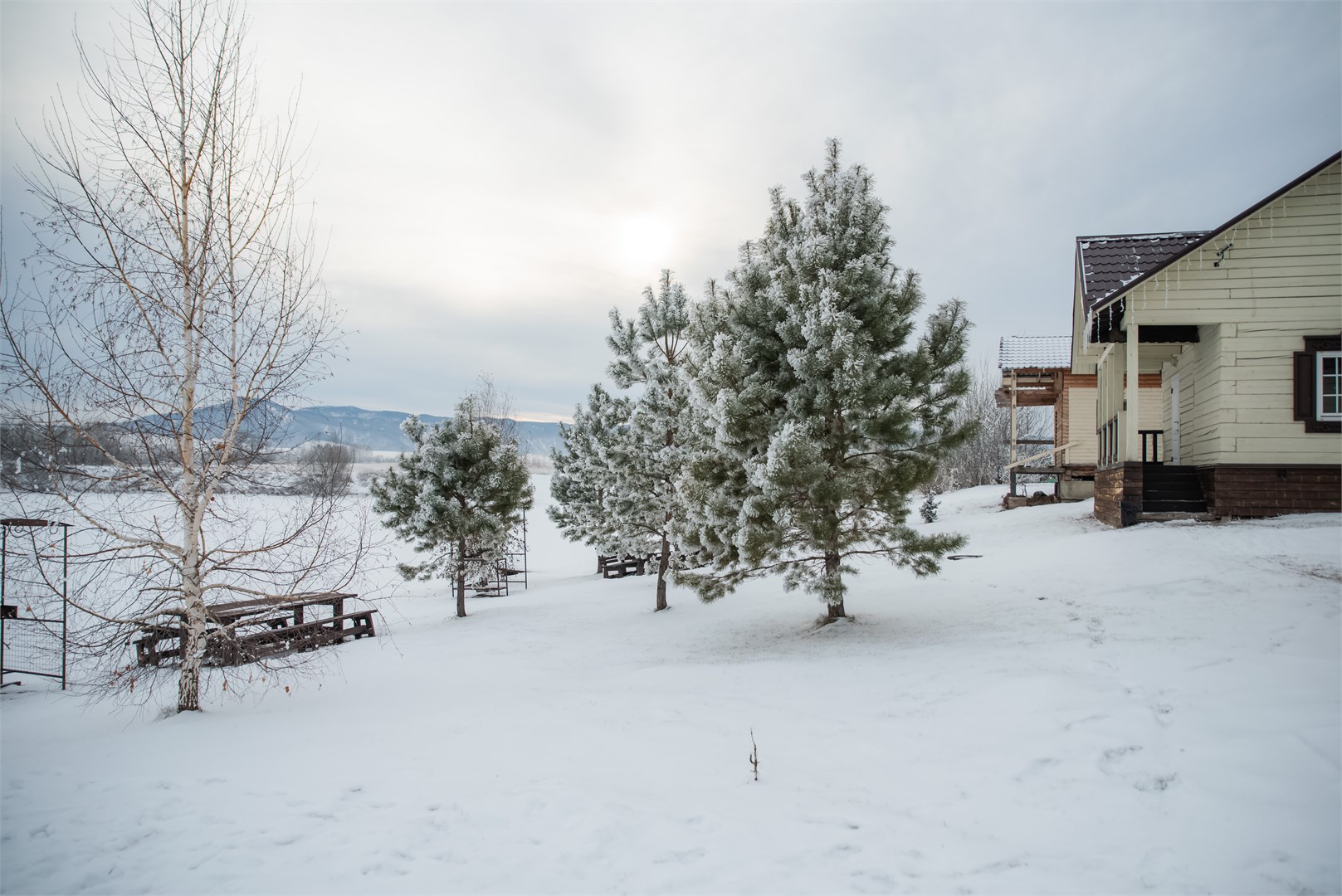 Калина красная - photo 5