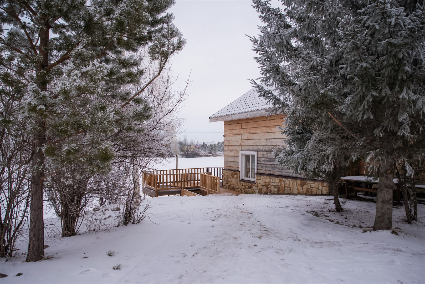 Калина красная - photo 4