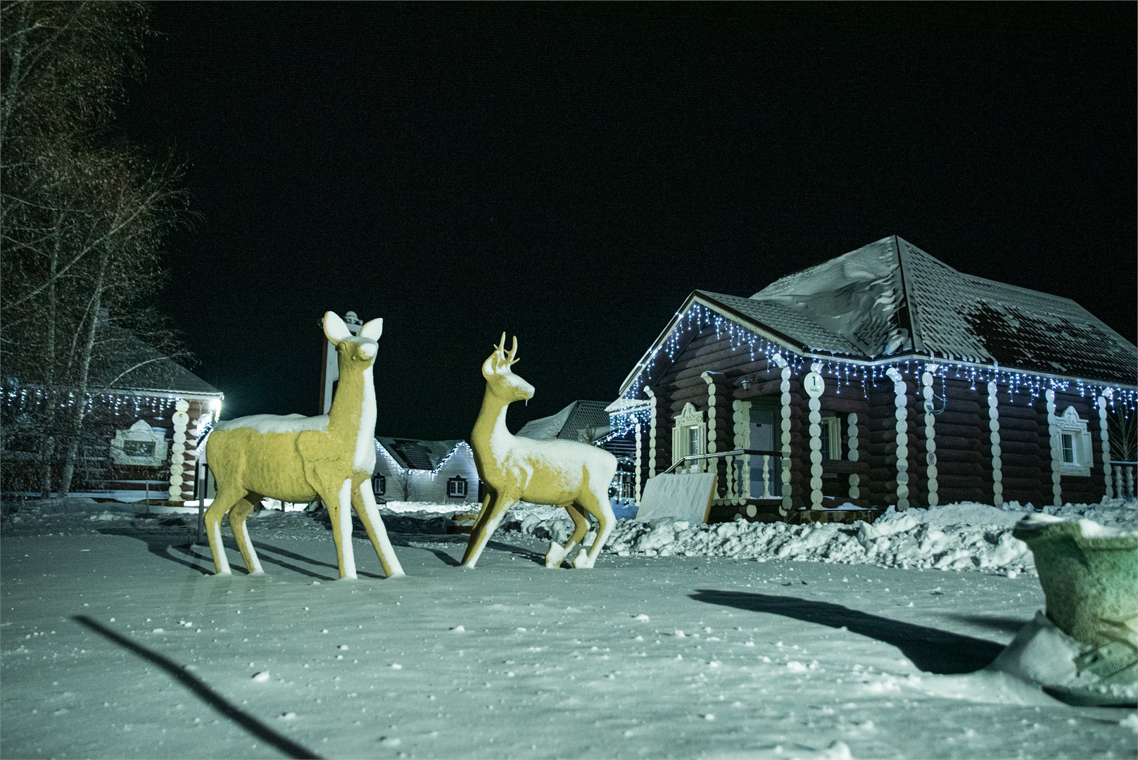 Калина красная - photo 3