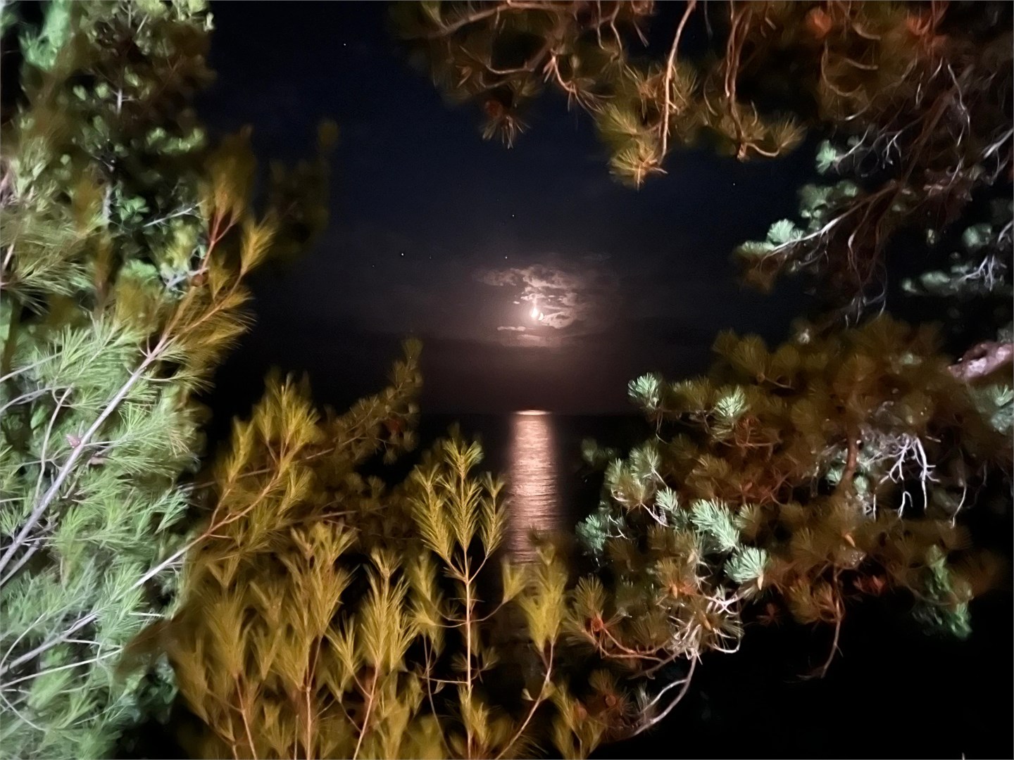 База отдыха "Лунная поляна" - photo 4