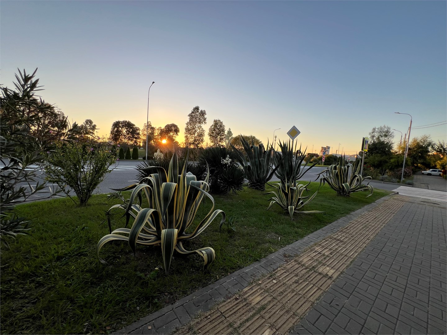 Апарт Отель Калипсо - photo 2
