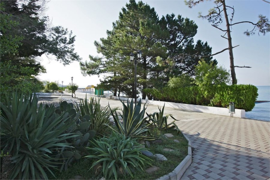 Dolphin Resort by Stellar Hotels, Sochi - photo 5