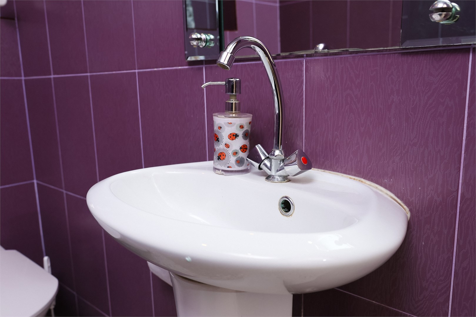 Вингс - photo 4