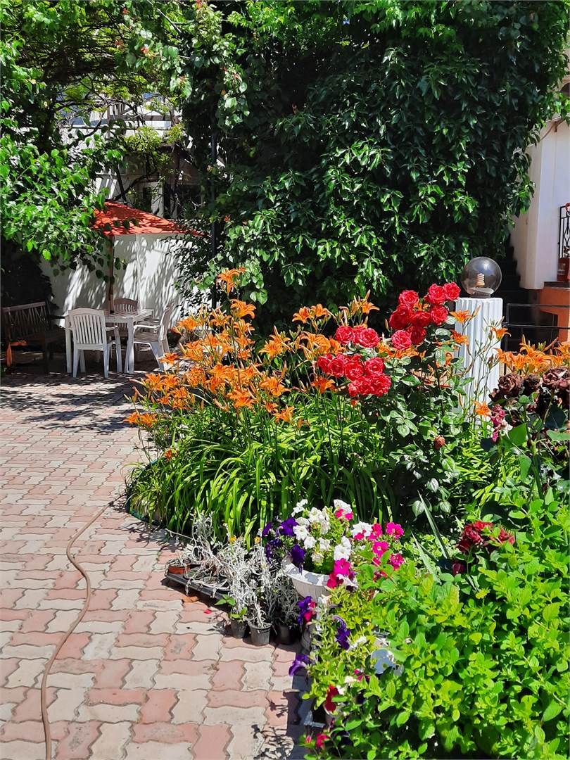 Меридиана - photo 2