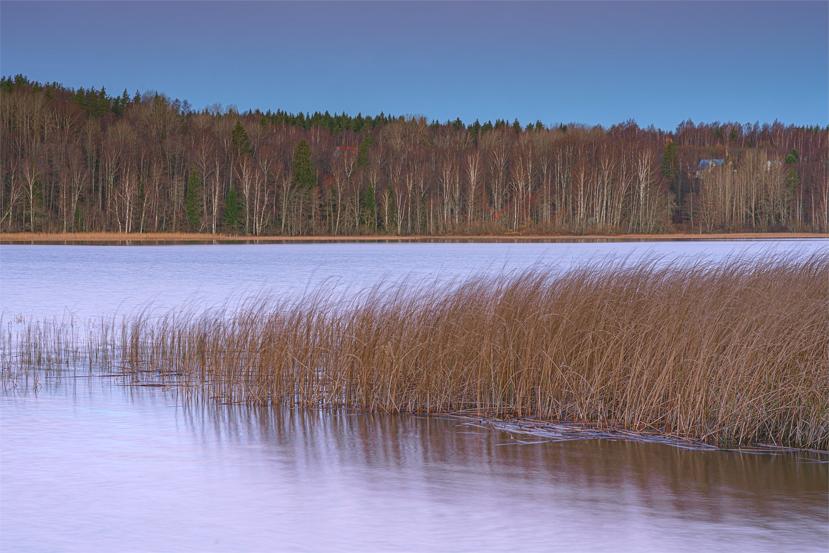 WhiteResort Поляны / Карелия - photo 3