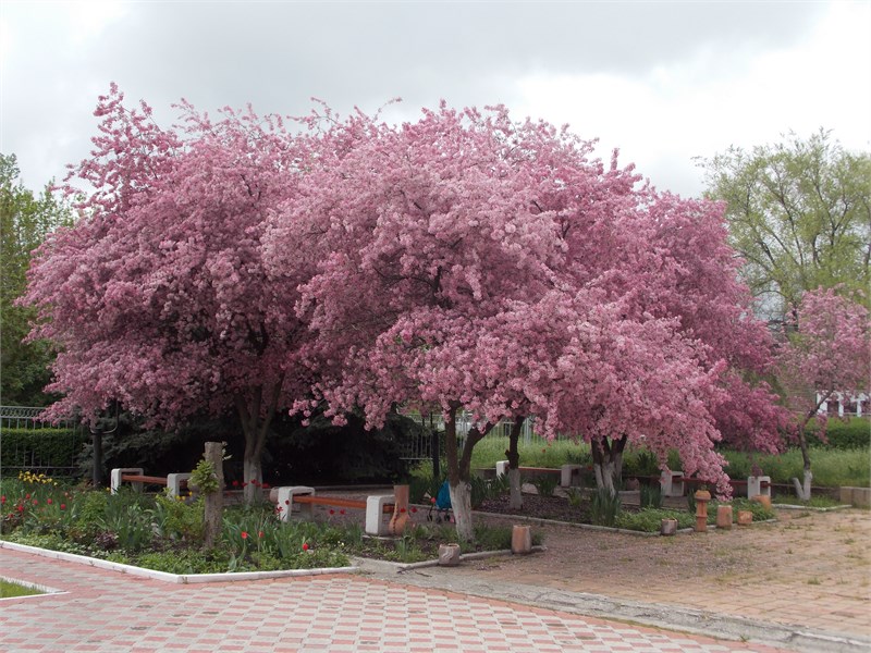 Гостиница Кузбасс - photo 3