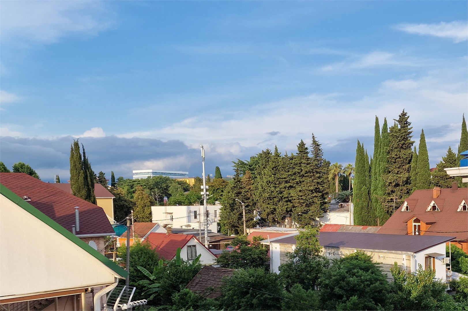 Альбатрос - photo 2