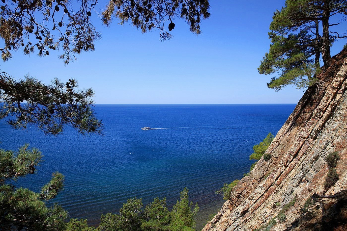 Друзья - photo 2