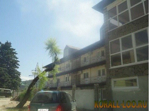 Коралл-Лоо - photo 2