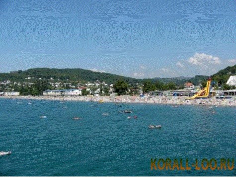 Коралл-Лоо - photo 4