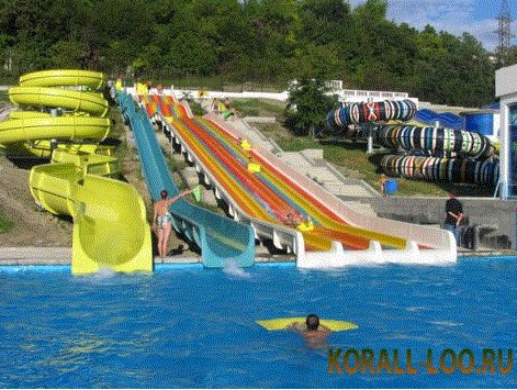 Коралл-Лоо - photo 5