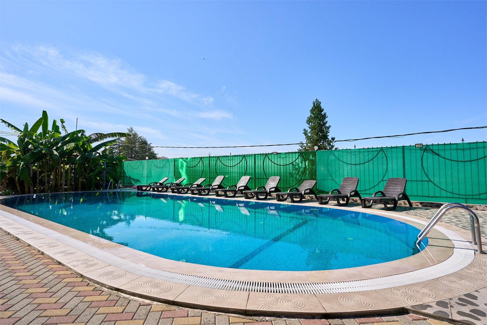 Эдельвейс - photo 4