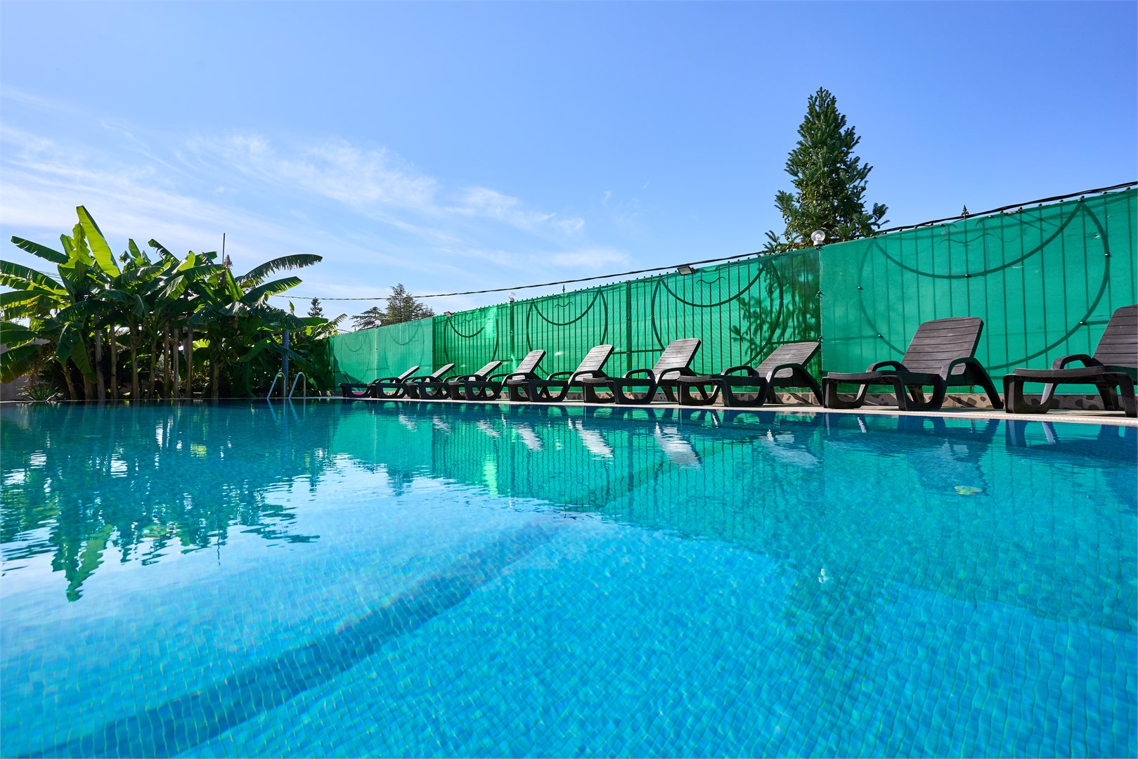 Эдельвейс - photo 2