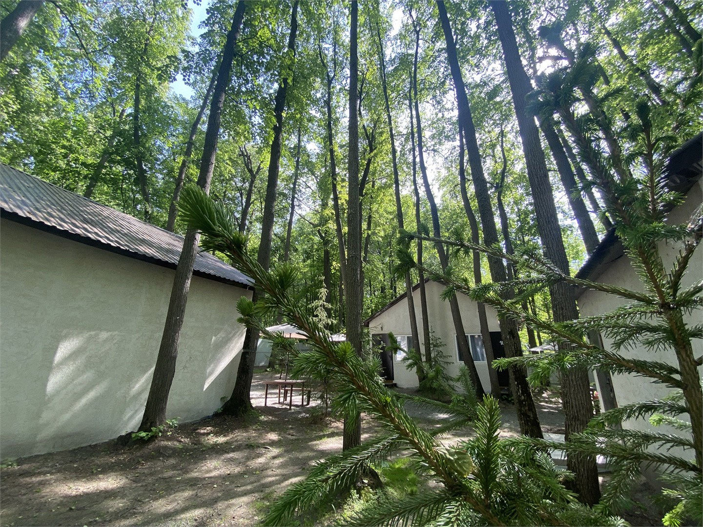 Глэмпинг Монте-Карло - photo 2