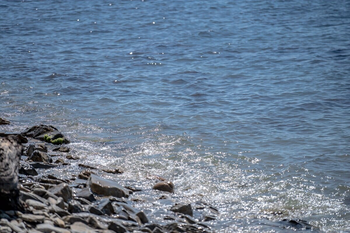 Лес&Море - photo 3