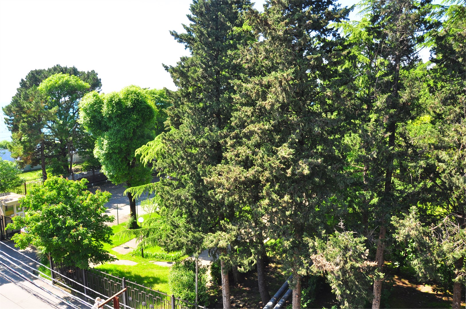 ПРИМОРЬЕ - photo 5