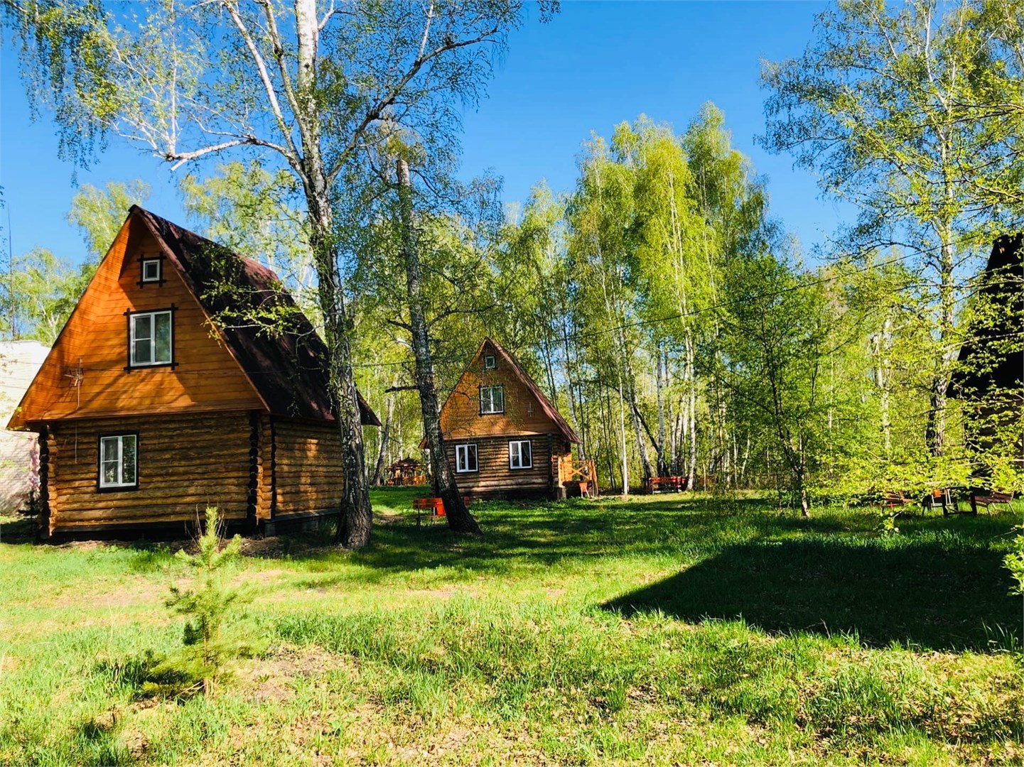 База отдыха Лазурный Берег - photo 3