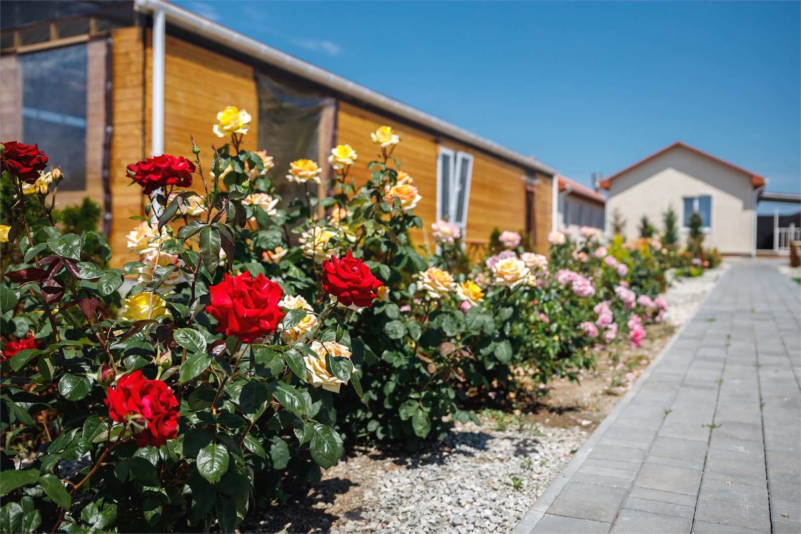 Вилла Прованс - photo 4