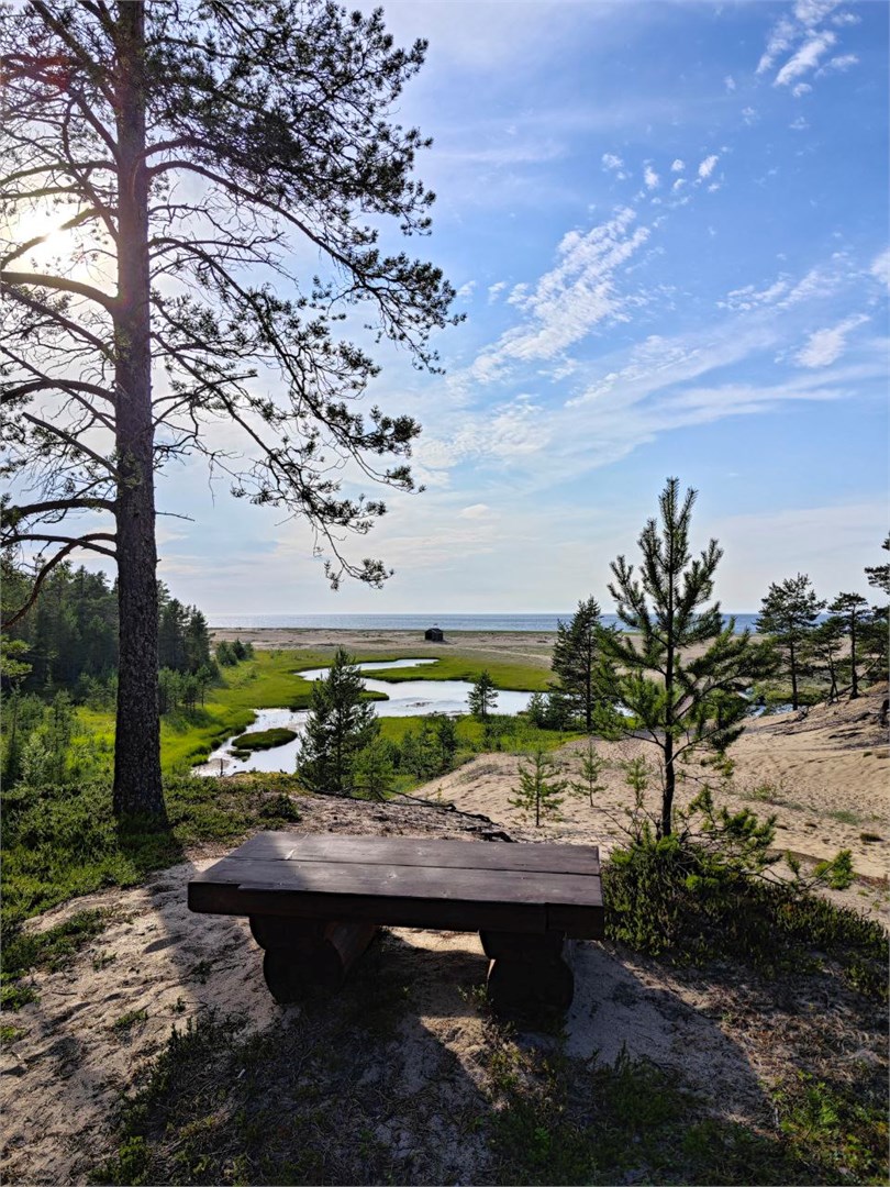 Летняя золотица - photo 5