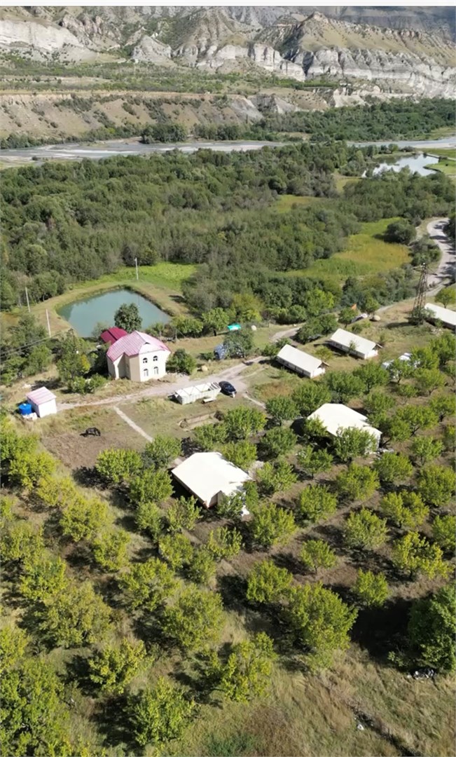 Сад Глэмпинг - photo 5