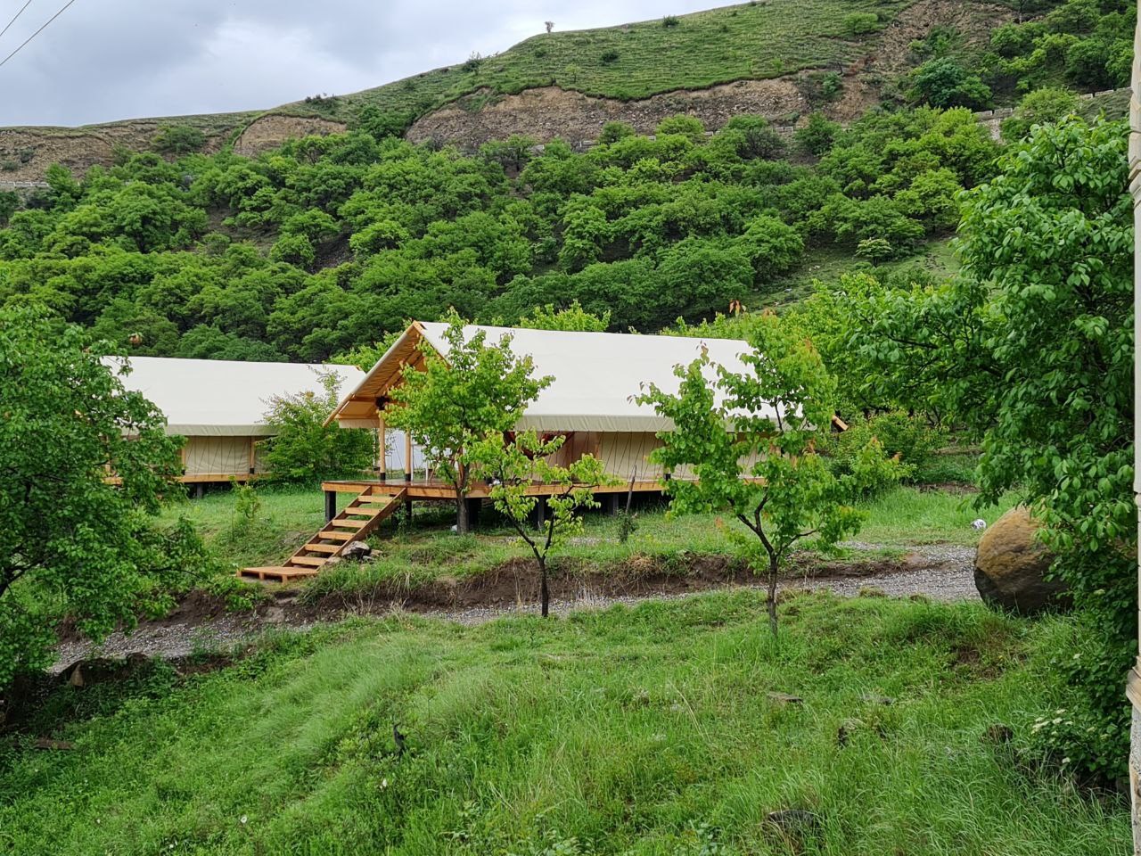 Сад Глэмпинг - photo 4