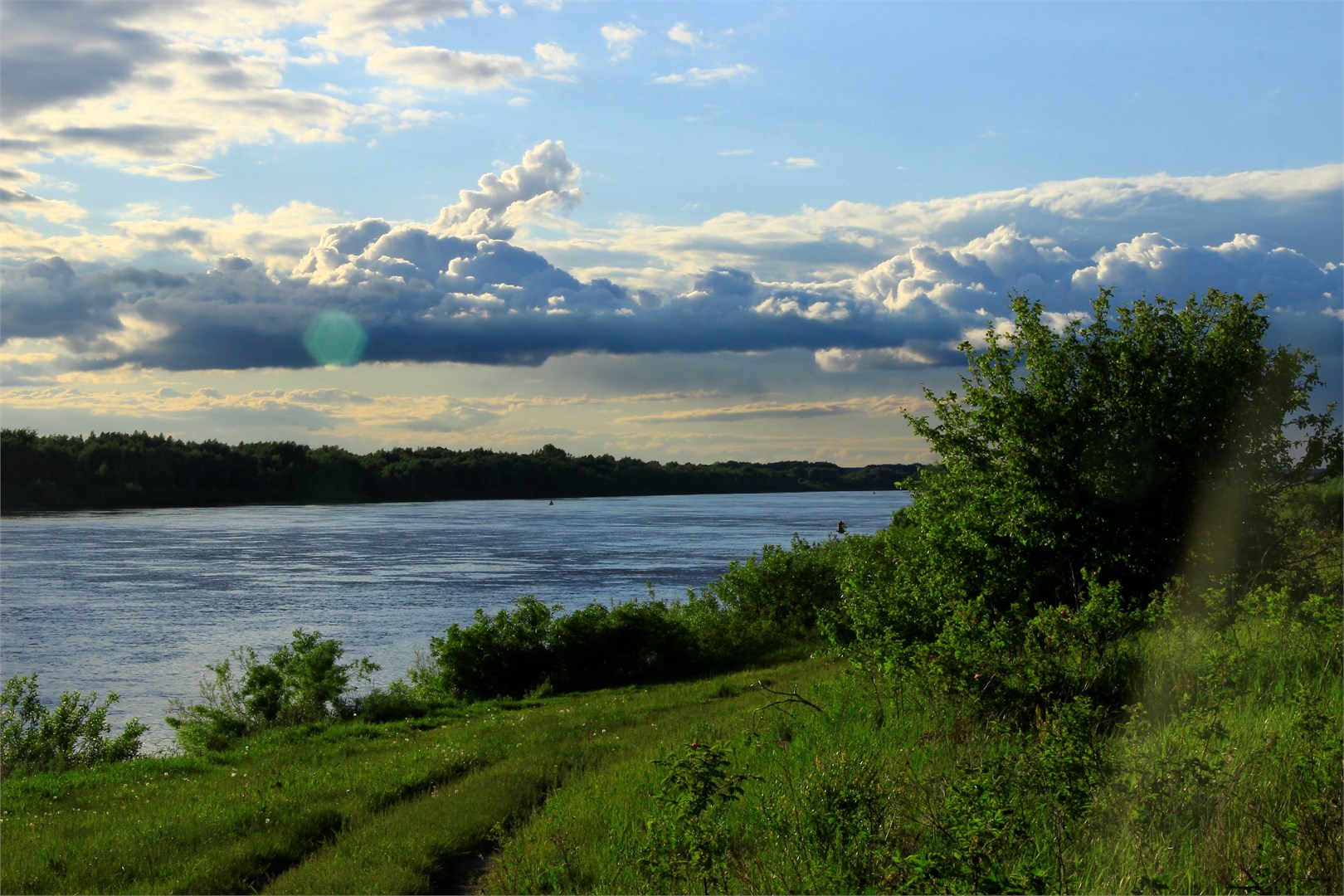 Усадьба Пчелинцево - photo 5