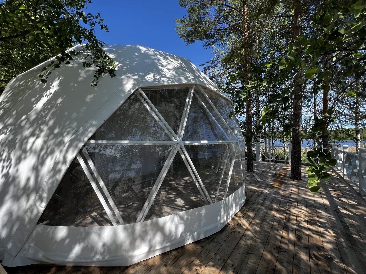 Хвоя. Карелия - photo 5