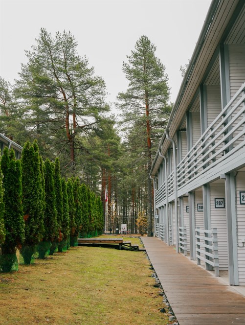 Хвоя. Карелия - photo 4