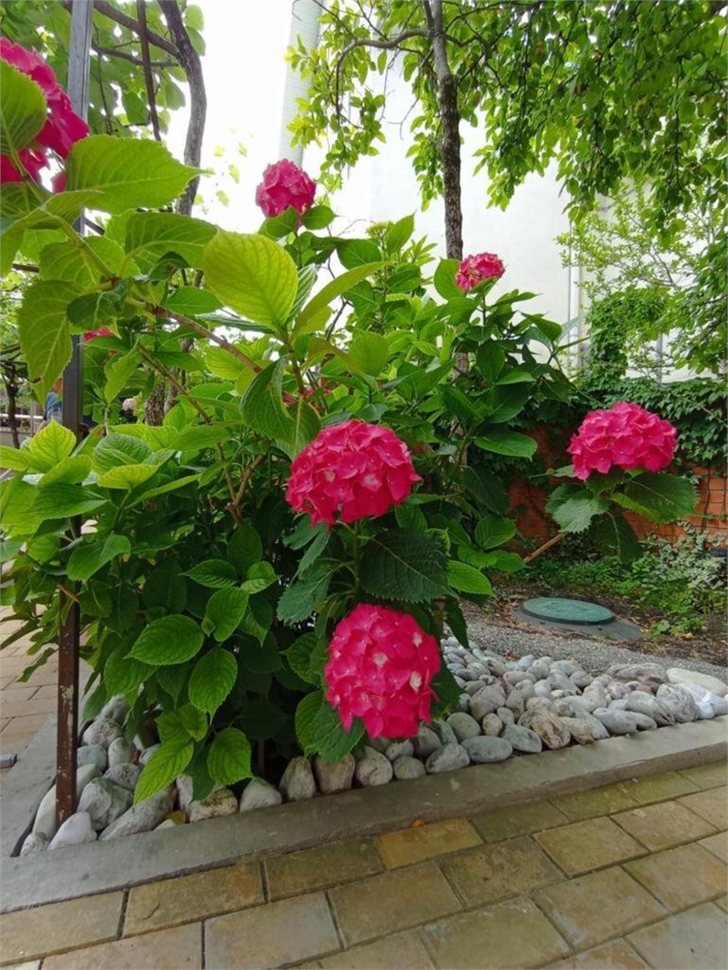Море рядом - photo 3