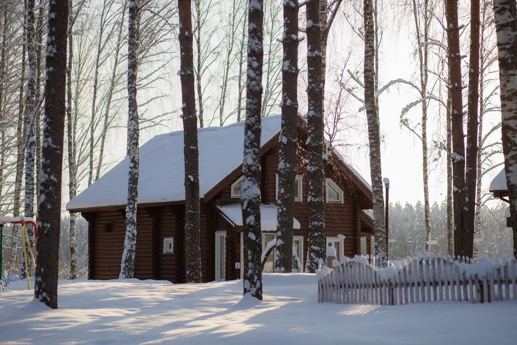 Липенка - photo 5