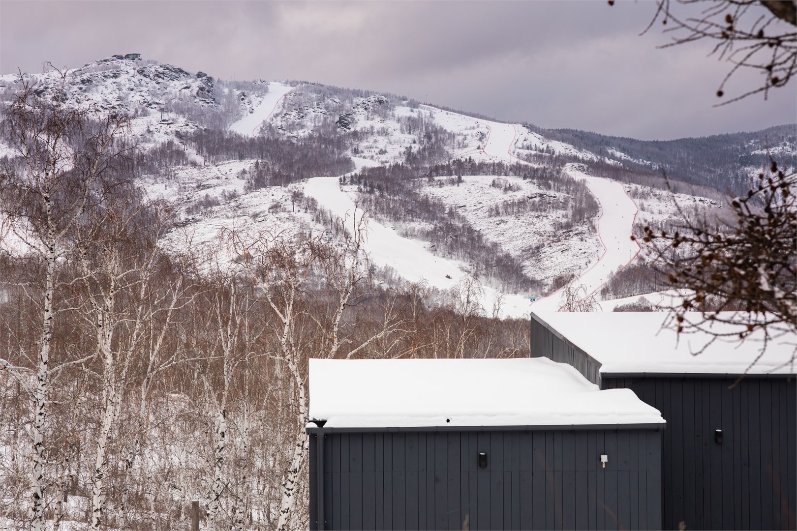 GORA glamping - photo 4