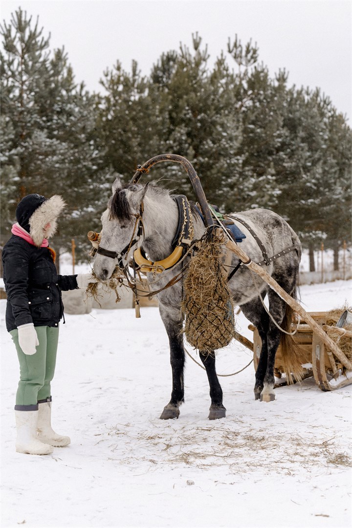 Эко-отель "Мордасово" - photo 2
