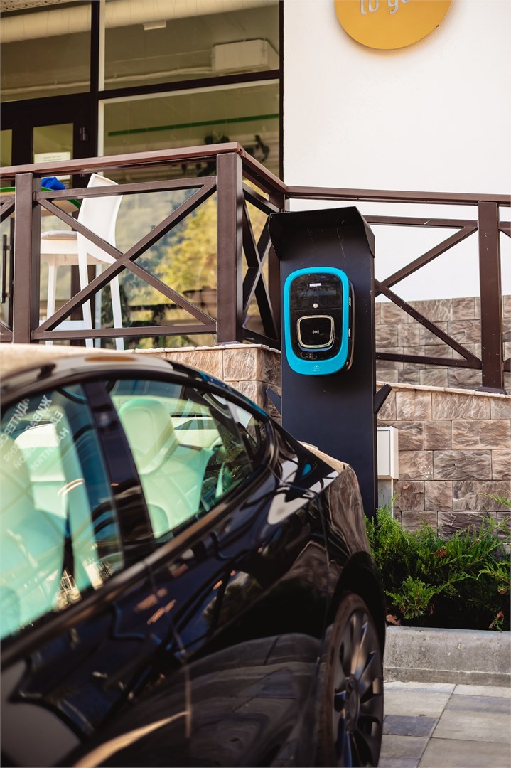 Регул - photo 4