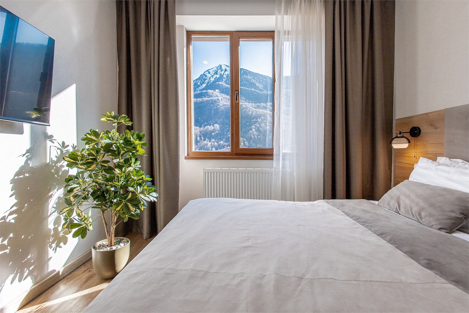 Регул - photo 3