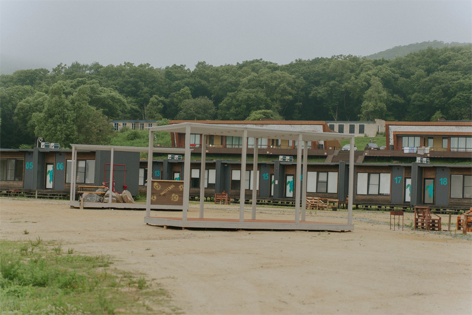 Лазурная черепаха - photo 2