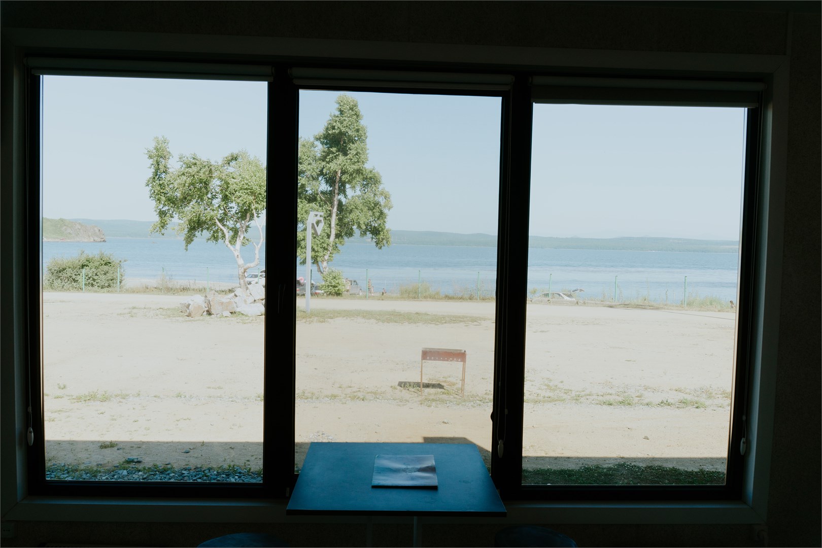 Лазурная черепаха - photo 4