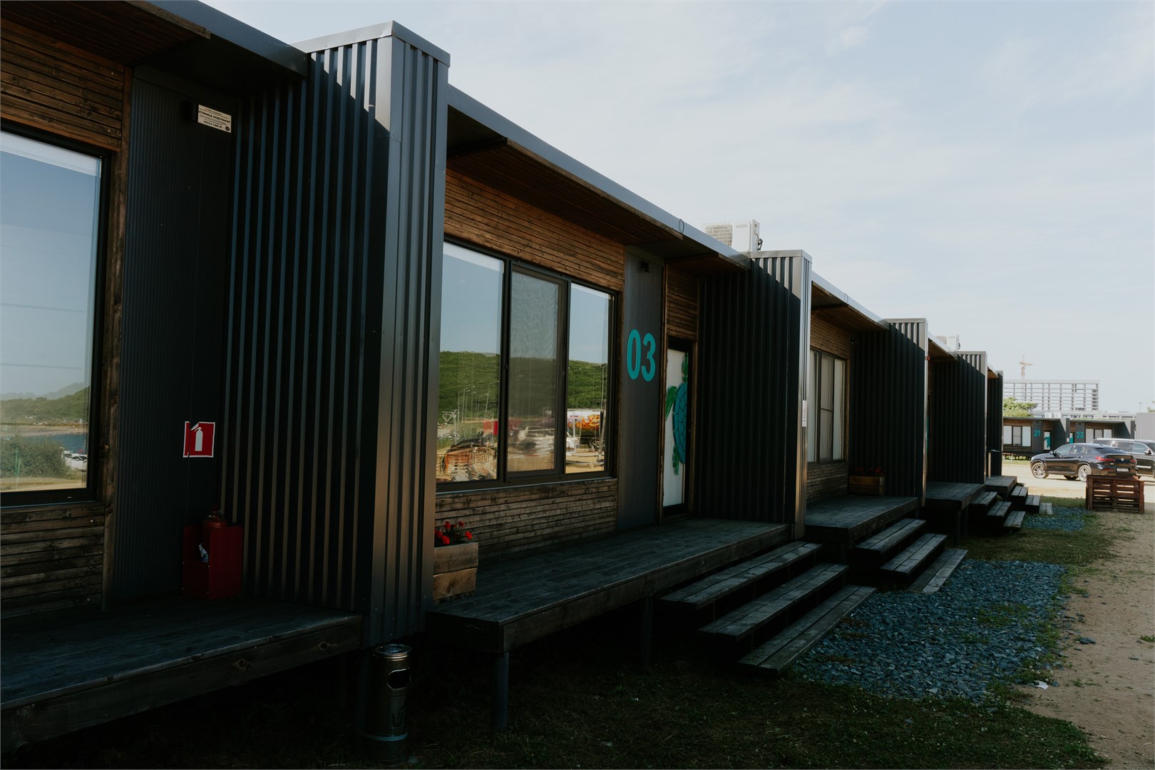 Лазурная черепаха - photo 5