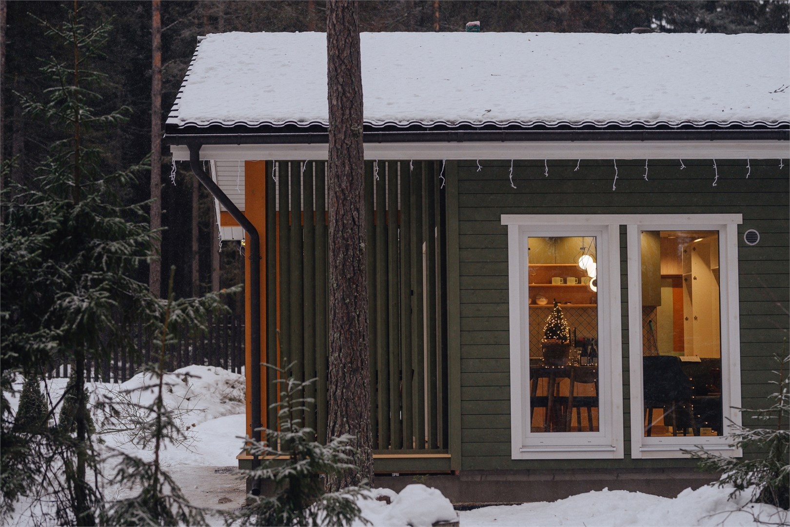 Волшебный лес