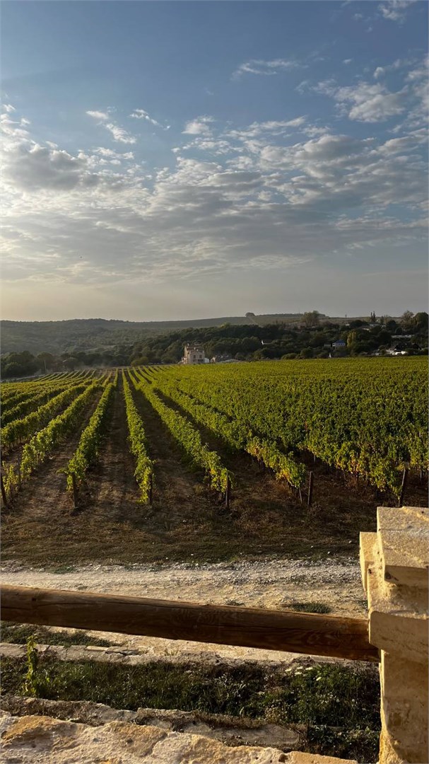 Отель Chateau Andre - photo 4