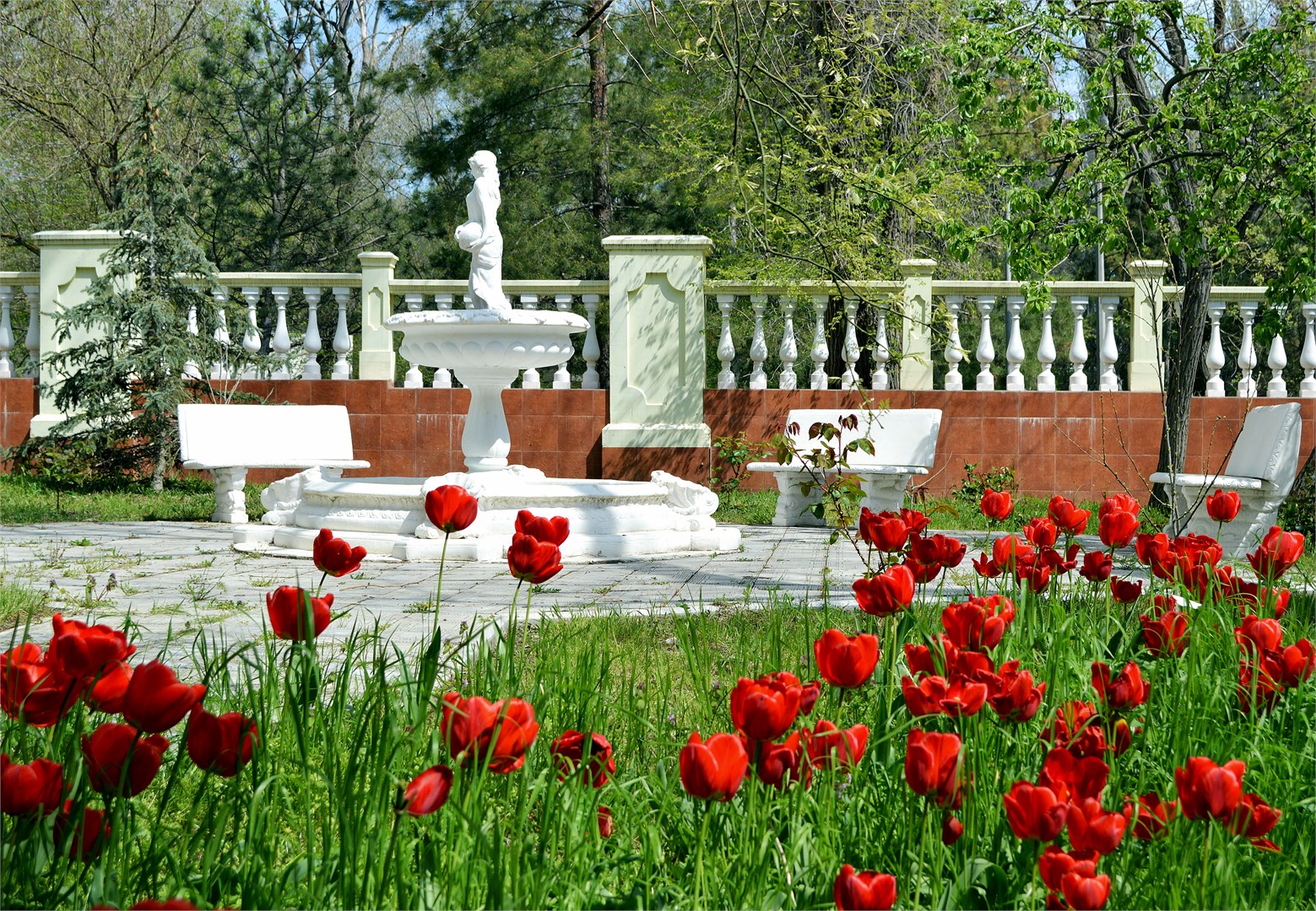 База Светлая - photo 2