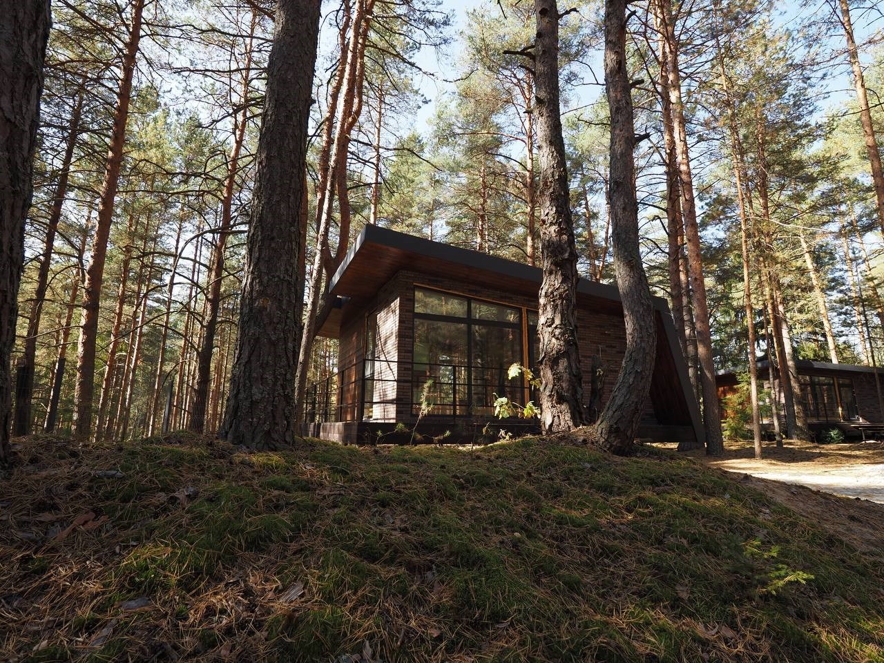 Вино и Сосны - photo 2