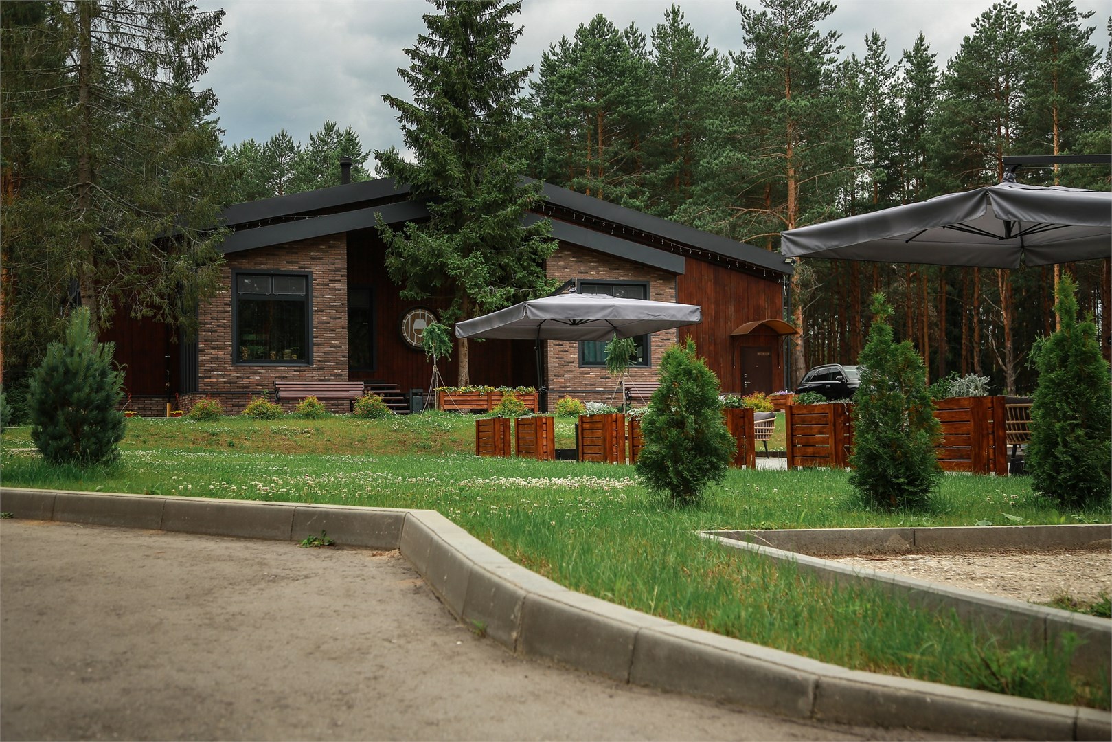 Вино и Сосны - photo 4