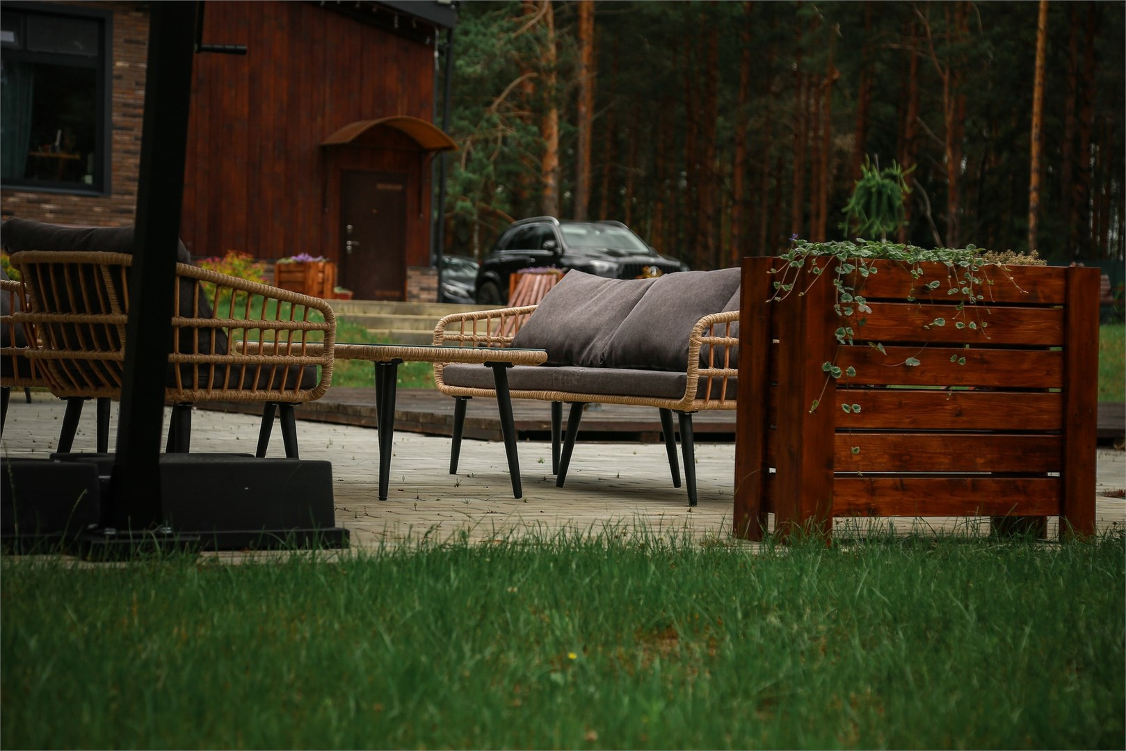 Вино и Сосны - photo 5