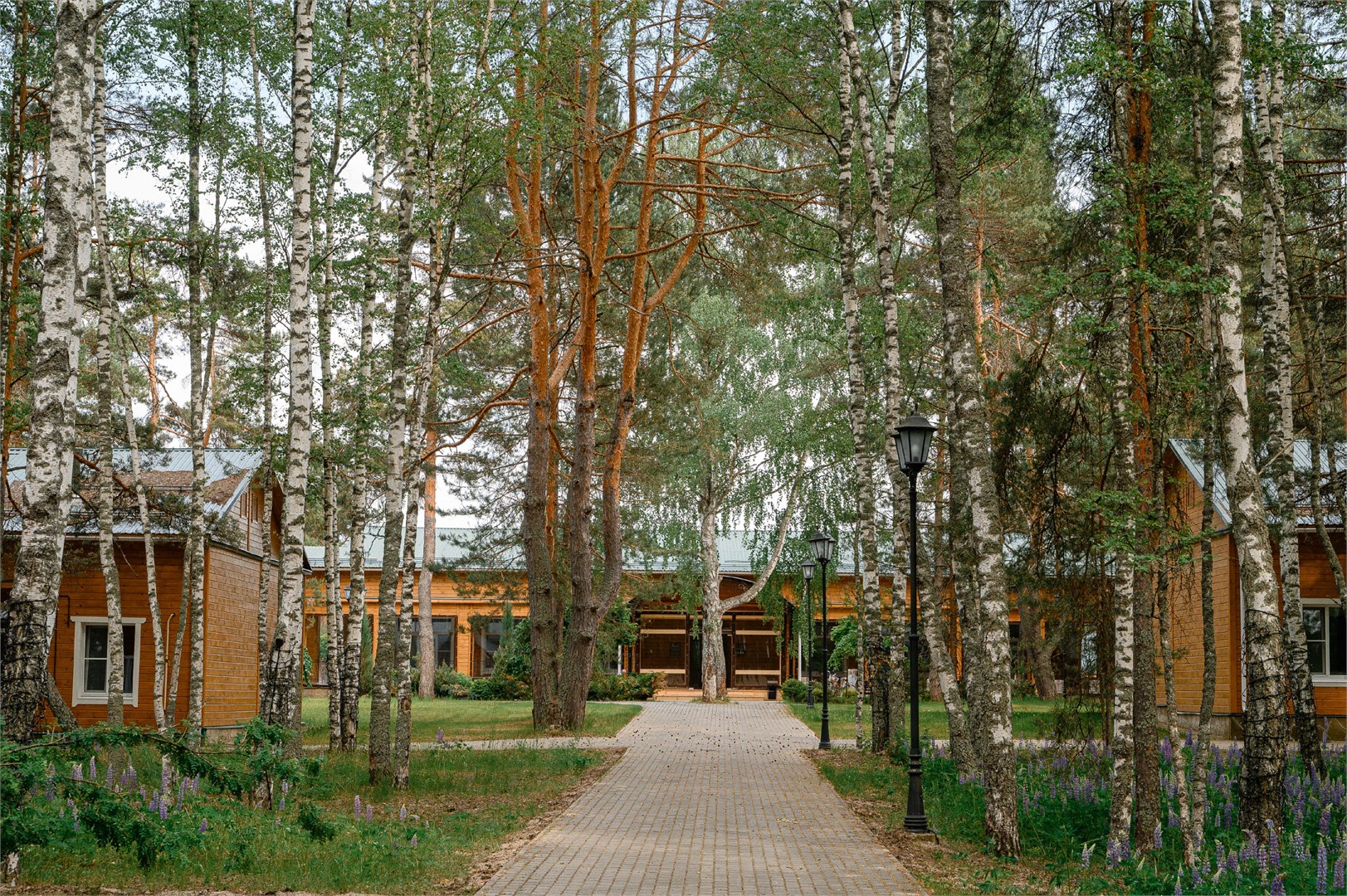 Сивцево - photo 5