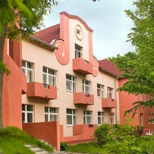 Старый дуб - photo 4