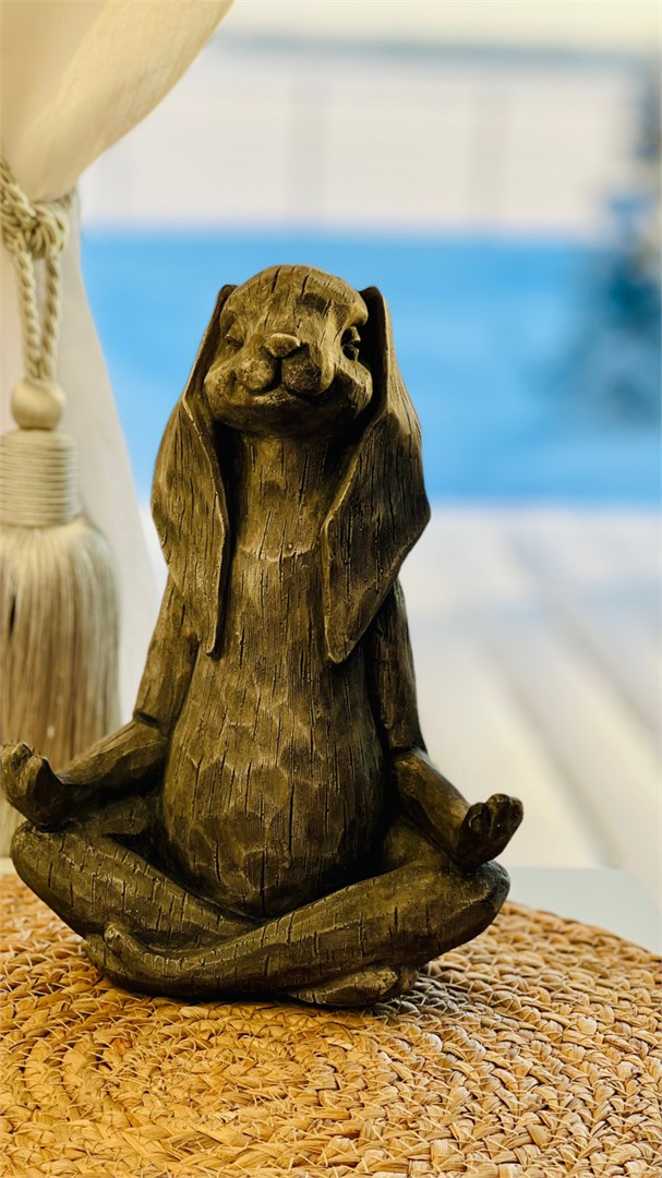 Гостевой дом Белый кролик - photo 5